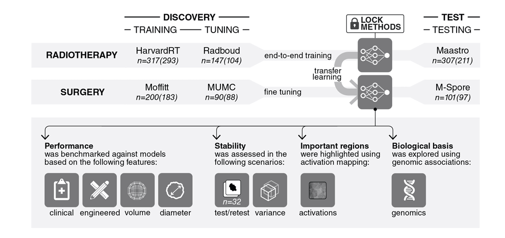 deep-learning-lung-cancer-prognostication-retrospective-multi-cohort-radiomics-study-1